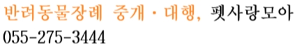 펫사랑모아